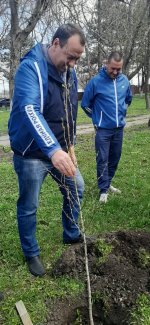 Игорь Николаев принял участие в акции «Сад Памяти»