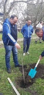 Игорь Николаев принял участие в акции «Сад Памяти»