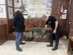 Депутат Николаев побывал в музее казачества Депутат Николаев побывал в музее казачества